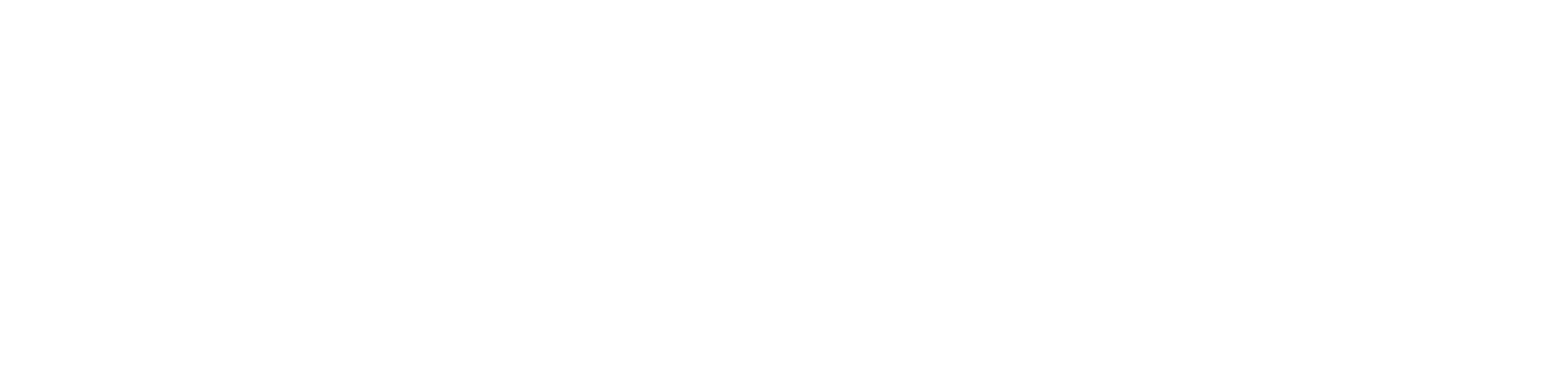 kadosan_group_logo_white